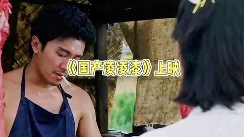 视频国产凌凌漆,笑料百出，动作惊险的喜剧动作片