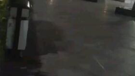 吐槽国产刹车视频,刹车失灵，安全堪忧！