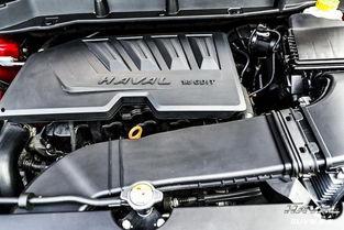 国产车堵住出路视频,突破重围，重振民族汽车工业雄风