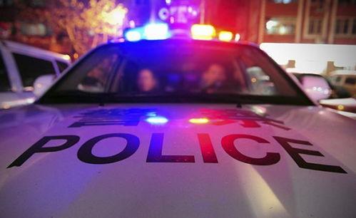 国产警车警灯爆闪视频播放