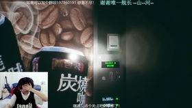 国产游戏实录视频播放器,重温经典瞬间，感受国游魅力