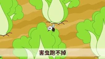 国产小青蛙全部视频,治愈系动画的温暖之旅